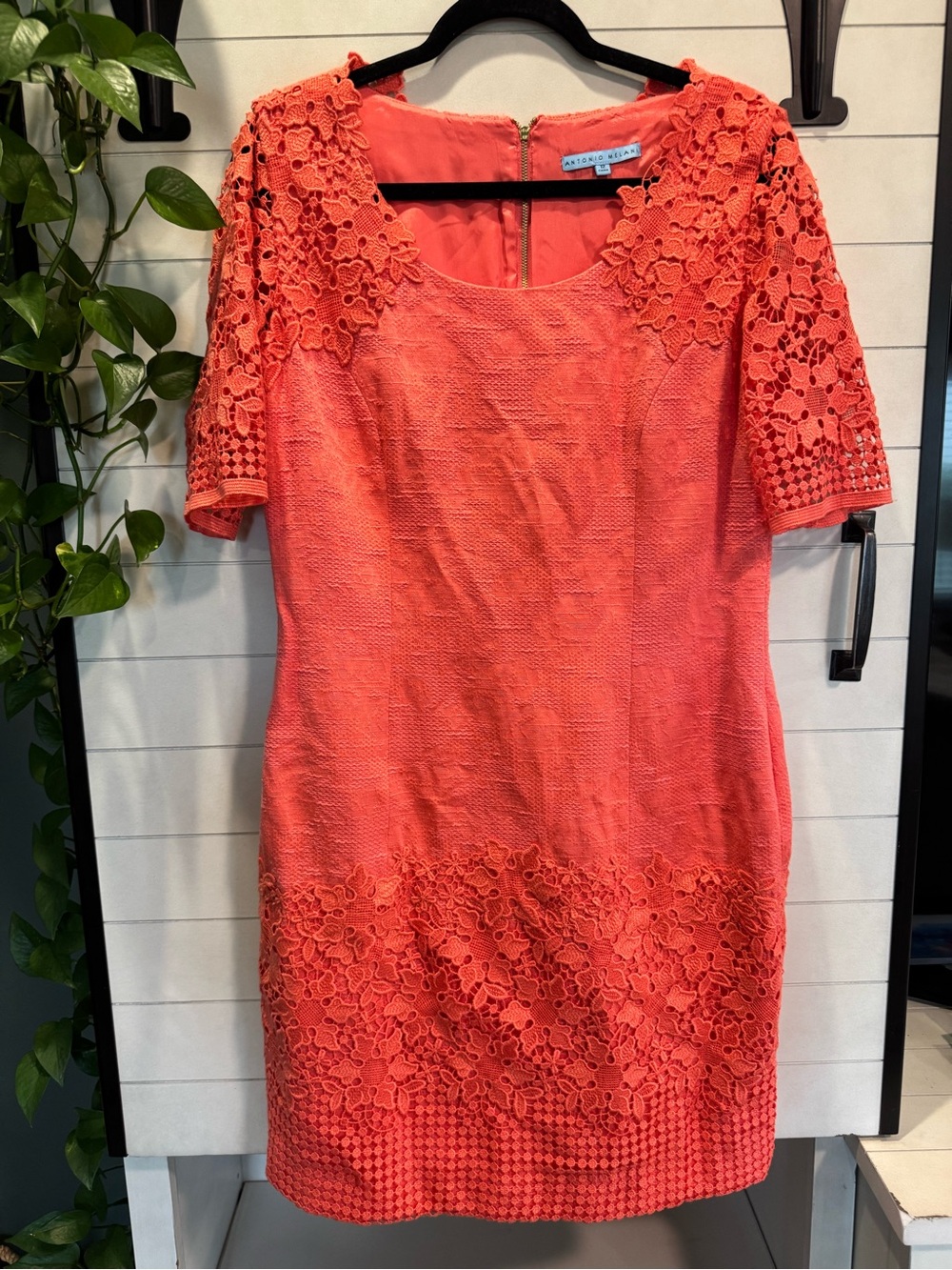 ANTONIO MELANI Coral Lace-Accent Midi Dress
